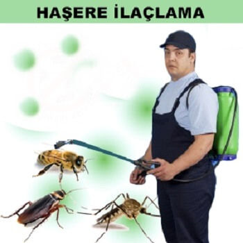 Van Böcek İlaçlama